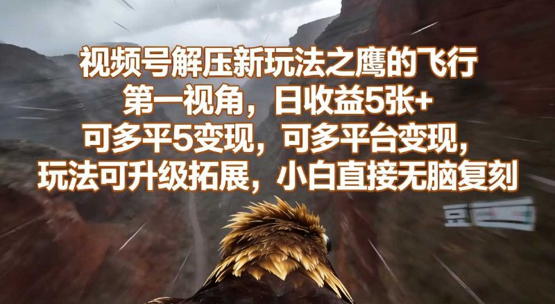 📌 #视频号 ✍️ 《视频号解压新玩法之鹰的飞行第一视角 日收益5张+ 可多平台变现》📖 项目介绍