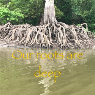 Louisiana-LDTS Chat Telegram Group Link