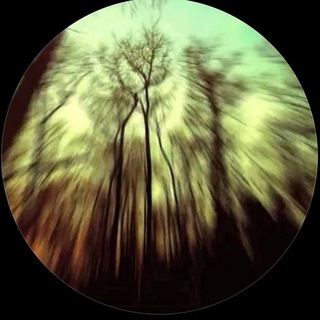 𝐋𝐈𝐌 𝐒𝐓𝐎𝐑𝐄 👑 Telegram Group Link