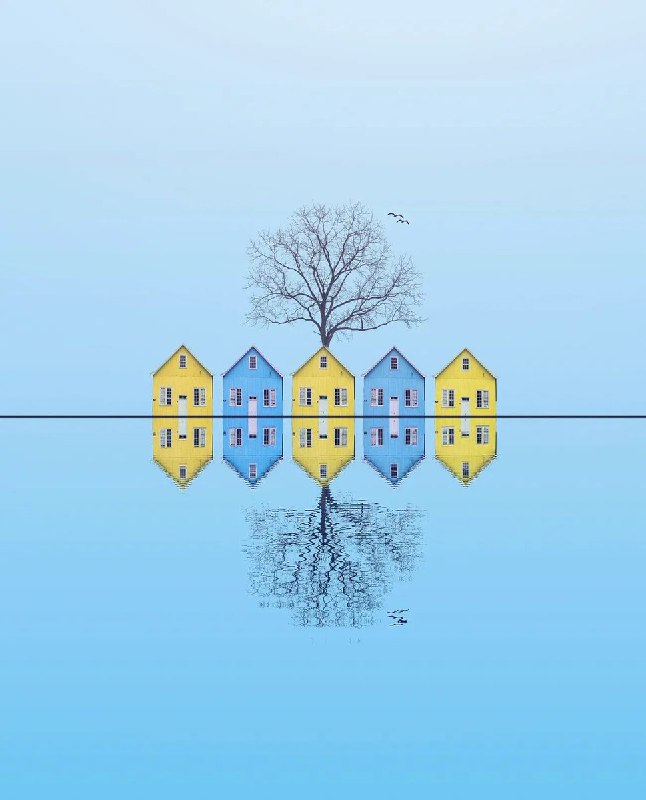 By 🐓Artie🌾 source