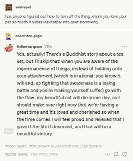 问：我太爱我家的毛孩子了，因此我总是想到和它将来不可避免要分别，而提前感到非常非常痛苦和悲伤... 有人知道该怎么处理这种情绪吗？答：有一个关于茶具的佛教故事，不过我就不展开讲了。简单来说，你得认识到万事万物都是无常的，与其紧紧抓住你的执念，不如把执念放下。因为执念其实是非理性的，你清楚知道所有相遇都必有分别的一天，对抗这种认知本身就是一场必输的战斗，只会让你更痛苦。让你的想法跟随你的理性吧 —— 我可爱的猫猫总有一天会去喵星，所以我更应该确保我们现在的幸福，用爱和关怀呵护猫猫，那样等到分别那天真的到来时，