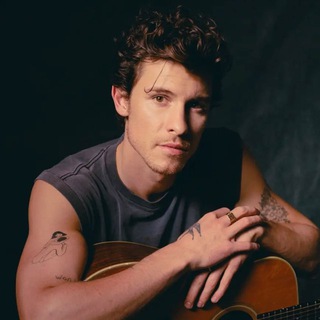 Shawn Mendes Brasil Telegram Group Link