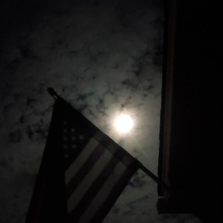SOUTH CAROLINA (FREEDOM) Telegram Group Link