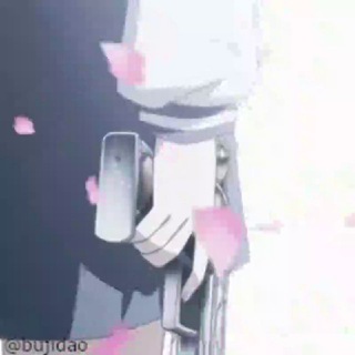 小小布吉岛闲聊群～ Telegram Group Link