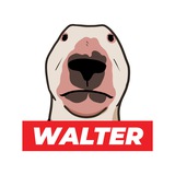 WALTER | Portal