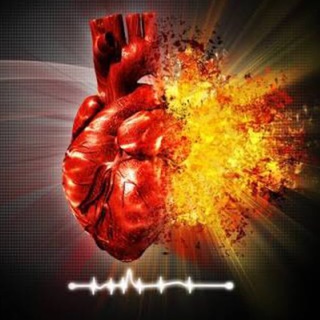 Mundo da Cardiologia