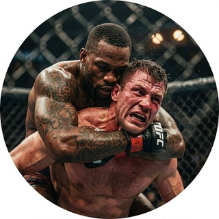 UFC格斗比赛