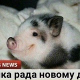 Вейден!