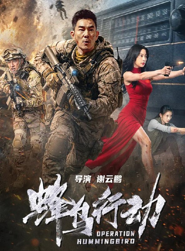名称：电影：蜂鸟行动 (2026) 克拉拉 / 任贤齐