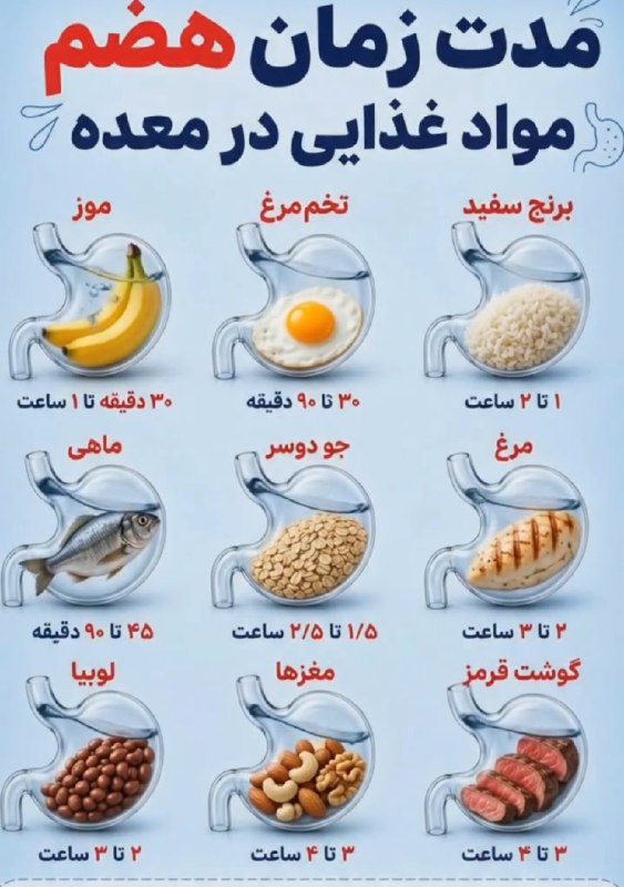 مرکز بهداشت کشوری: مدت زمان هضم مواد غذایی💠 @Behdasht_iran