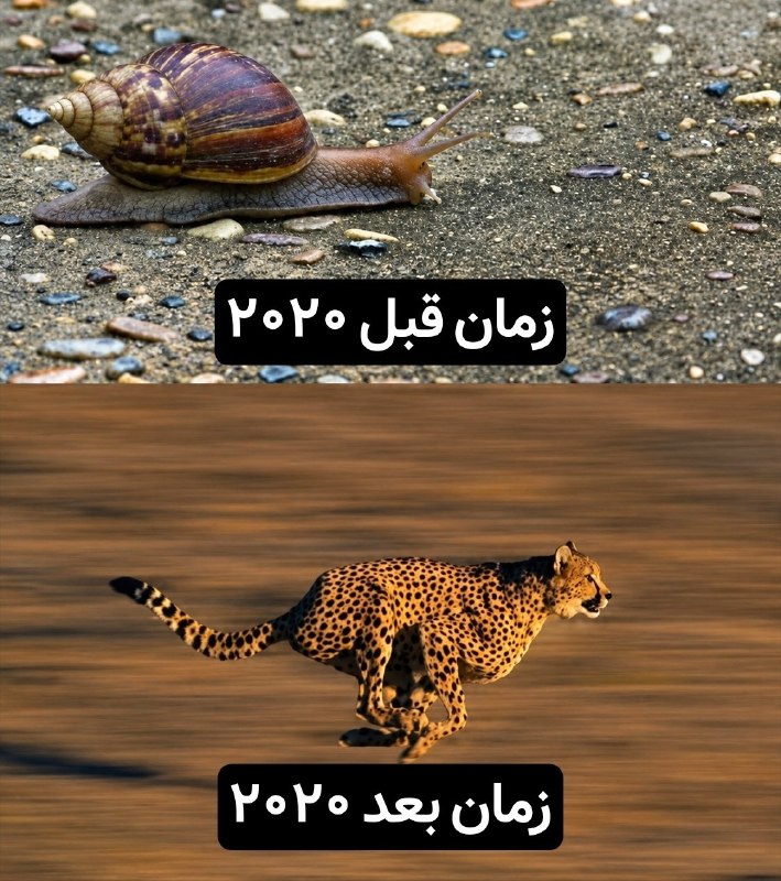 رادیوکصشر: به ابلفضل