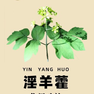 缅甸果敢|果敢老街凤麟城中草药店【腾龙娱乐公司】
