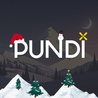 Pundi X USA (Unofficial) logo