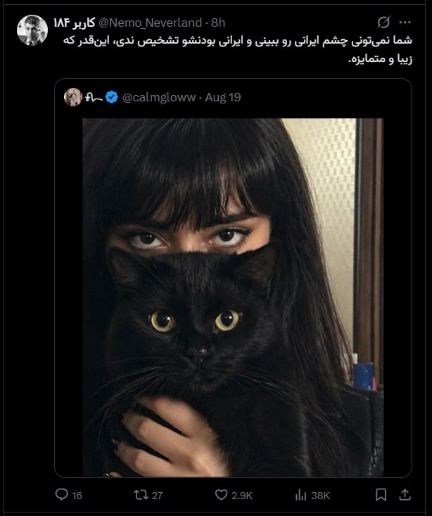 pussy&poem: رسانه پست