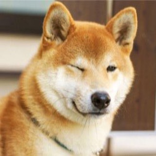 BanMX 트레이딩 그룹 Telegram Group Link