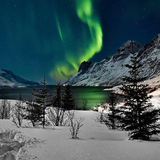 桃李春風一杯酒，江湖夜雨十年燈。