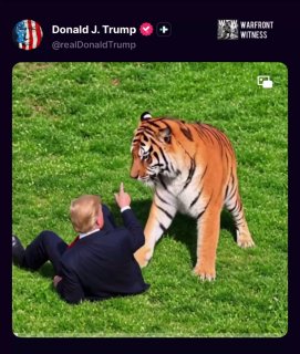 US President Trump has released an AI-edited parody video of the tiger incident in Yorkshire, depicting himself tackling the tiger instead of getting hurt before hugging the animal.