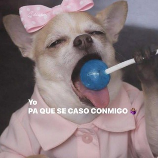 Amigos de Telegram