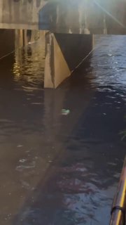 Image from a post by 西港闯荡记|东南亚大事件