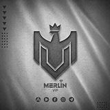 Merlin ViP