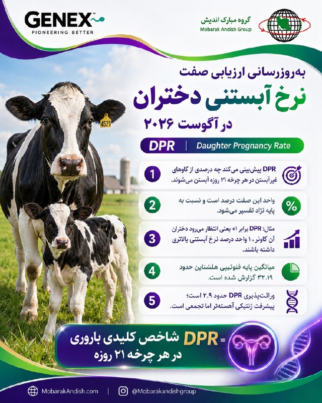 جی نکس، سی. آر. آی ایران: در ارزیابی آگوست ۲۰۲۶ شورای اصلاح نژاد گاوشیری آمریکا، مدل ارزیابی ژنتیکی برخی صفات باروری نظیر نرخ آبستنی دختران به روز