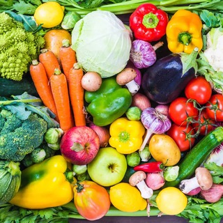 North Idaho Bulk Food Co-Op Chat Telegram Group Link