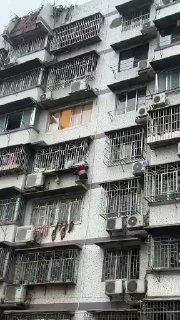 广西柳州顺丰小哥救人感谢家人们投稿！