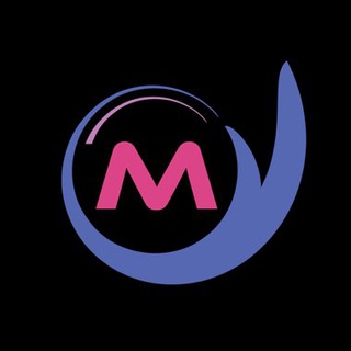 ModelMeta Global🌏