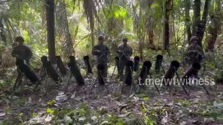️🇨🇴 כוח הפריסה המהירה של קולומביה מספר 8 איתר 16 משגרי מרגמות השייכים לפי הדיווחים לחזית Domingo Laín Sáe…