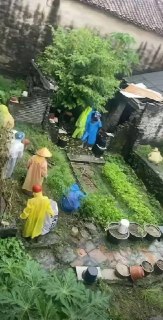 预防基孔肯雅，禁止私人院落种菜，直接用水泥封停。