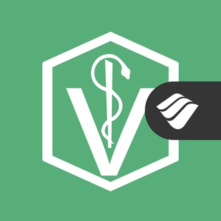 Logo do grupo Estágios Veterinária 🐶