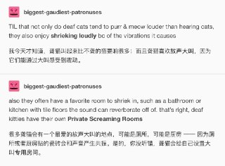 我今天才知道，聋猫叫起来比不聋的猫要响很多；而且聋猫喜欢放声大叫，因为它们能通过大叫感受到震动。很多聋猫会有一个最爱的放声大叫的地点，可能是厕所，可能是厨房 —— 因为厕所或者厨房贴的瓷砖会和声音产生共振。是的，你没听错，聋猫会给自己设置“大叫专用房间”。为什么这只猫喜欢放声大叫？1. 为什么猫不能喜欢放声大叫；2. 你要是足够聪明的话，你也会喜欢放声大叫的！ source