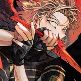 Hawks | Shop