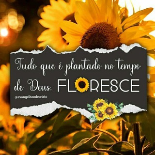 Procurando ADM