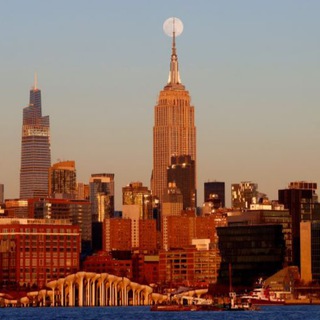 Your Business in New York Telegram Group Link