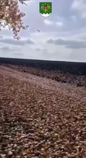 חכם! עצה טובה למשתמטים מהדראפט האוקראיני. 700 יורו על דבר קטנטן כזה, קצת מזל ואתה ברומניה. תהיה אדיב!