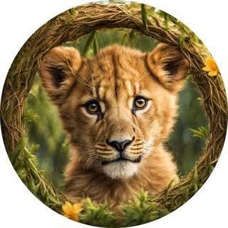 Simba chat Telegram Group Link