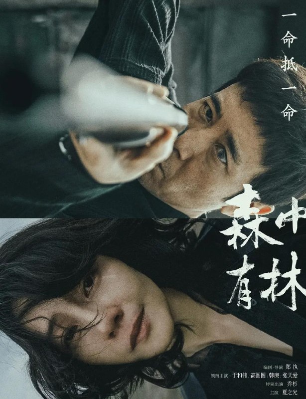 名称：电影：森中有林 (2026)