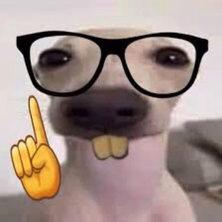 Grupo en decadencia 🗣️🔥