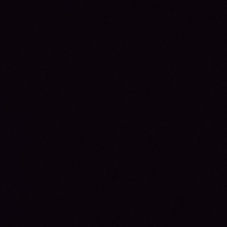 WalterBlack Telegram Group Link