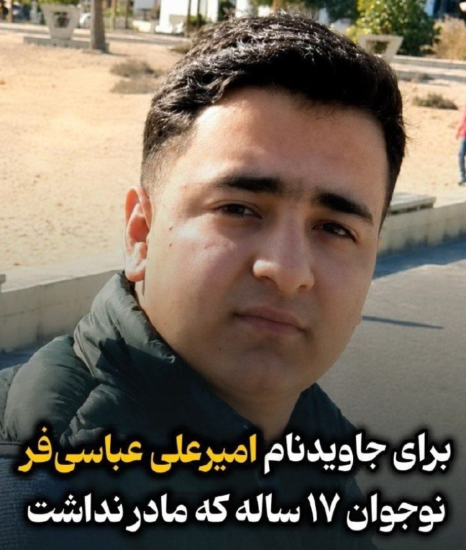 چند قرن بردگی: امیرعلی را مادرش بزرگ نکرد.مادر نداشت و مادربزرگش او را بزرگ کرد.۱۷ ساله بود. عینک‌ساز. کُرد. اهل کرمانشاه.شب ۱۸ دی، در 