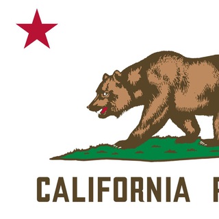 🇮🇳 California State University