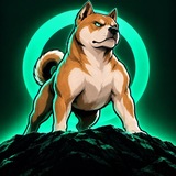 DOGINU CTO
