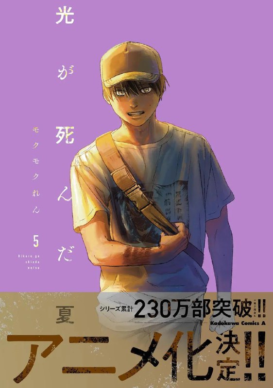 光逝去的夏天:高清资源分享 - 乡愁、少年与异变的夏日物语