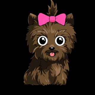 ALGO-YORKI