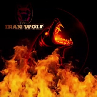 IRAN宲WOLF Telegram Group Link