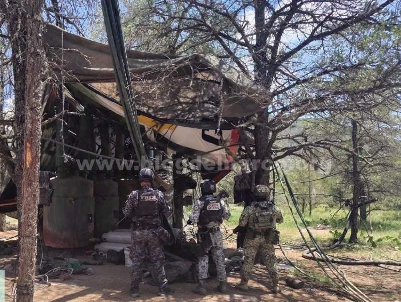 ️🇲🇽 אנשי הצבא המקסיקני, המשמר הלאומי וכוח התגובה המיידית של זאקטקס איתרו ופירקו אתר בגודל של כ-20 דונם המ…