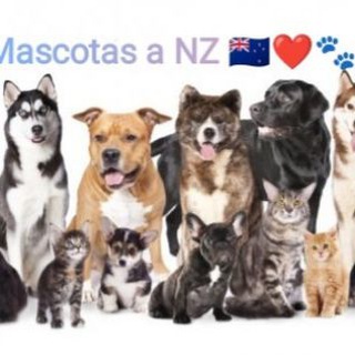 Mascotas a NZ, Australia y más 🇳🇿❤️🐾✈️🌎