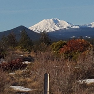 CENTRAL Oregon Patriots Telegram Group Link