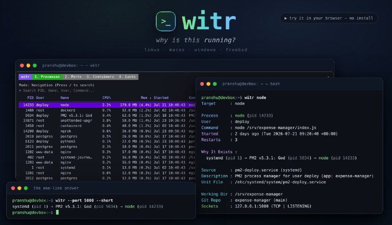 🍭 #系统工具 #命令行工具 #进程监控🏵 Witr - 进程来源及因果关系诊断🍥 简介